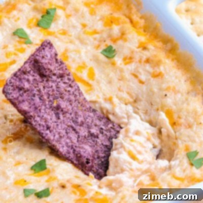 Craveable Loaded Baked Potato Dip 10 Hot Crab Dip
