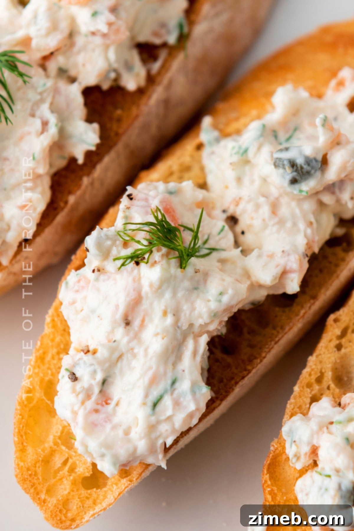 Irresistible Salmon Dip 8 Salmon Dip