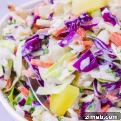 Citrus Cloud Delight 11 Hawaiian Coleslaw