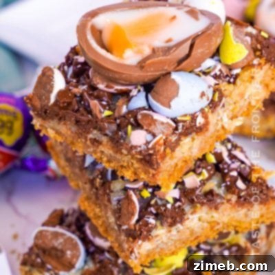 Sweet Spring Roll Cake 11 Cadbury Magic Bars