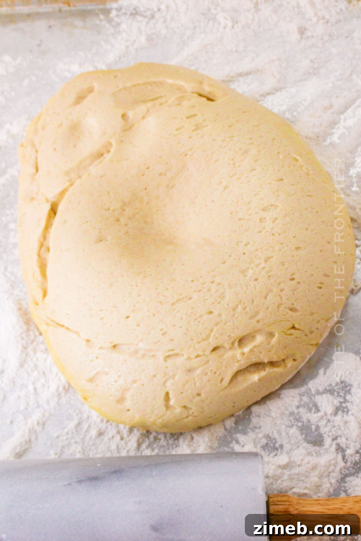 Homemade Texas Roadhouse Rolls 5 dinner roll dough - Perfectly risen dough for soft Texas Roadhouse Rolls.