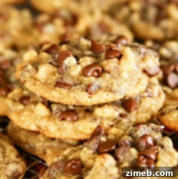 Homemade Texas Roadhouse Rolls 10 Copycat DoubleTree Hotel Chocolate Chip Cookies