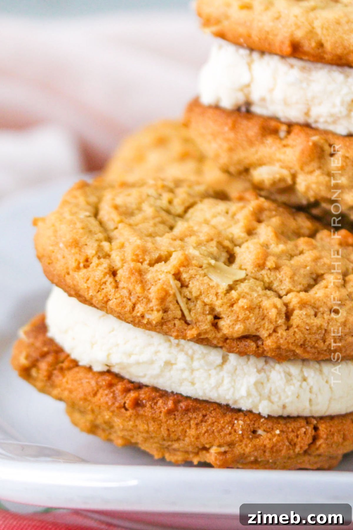 Recreating Classic Dosidos 2 Homemade Do-Si-Dos - Copycat Recipe