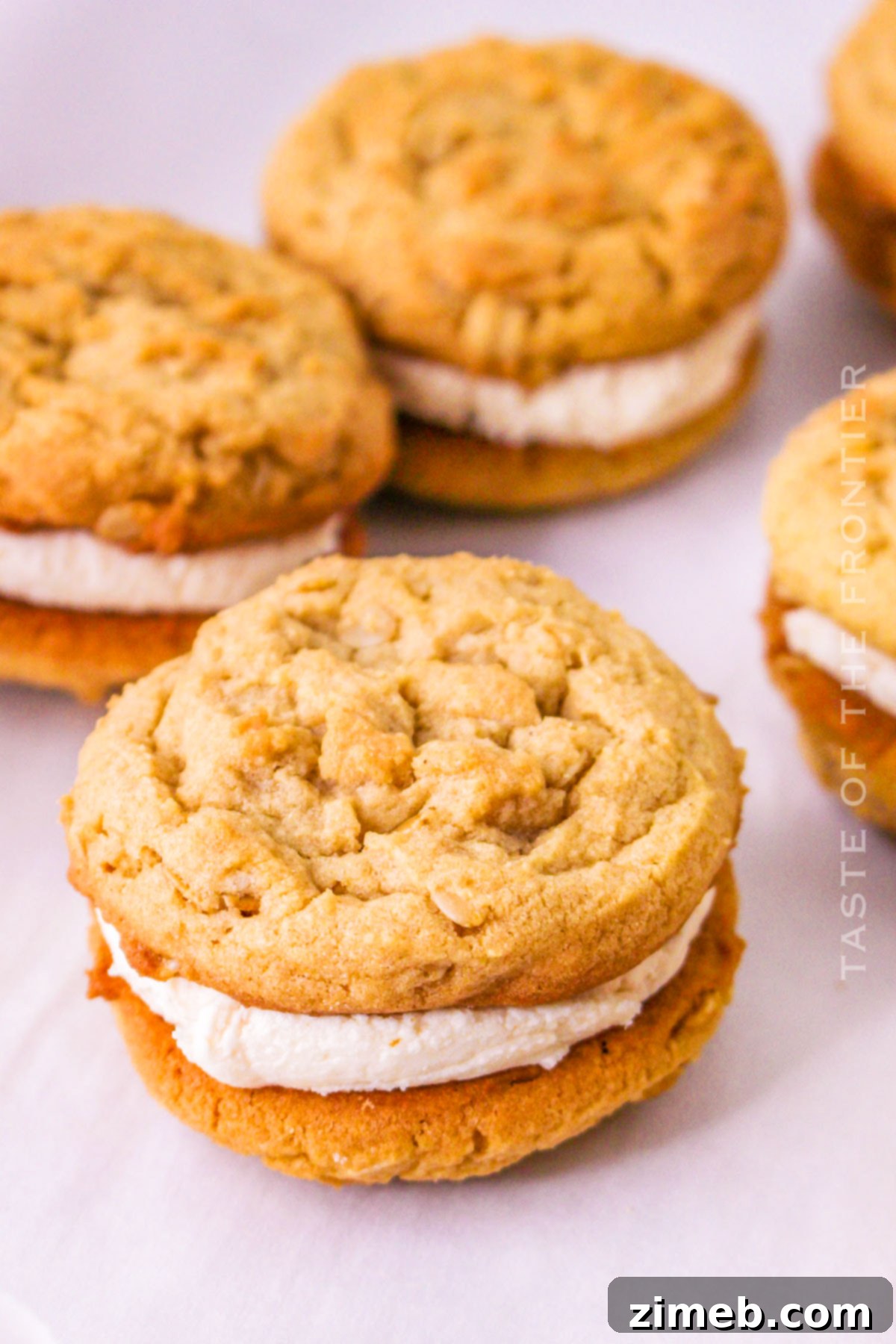 Recreating Classic Dosidos 15 Copycat Girl Scout Cookie Recipe