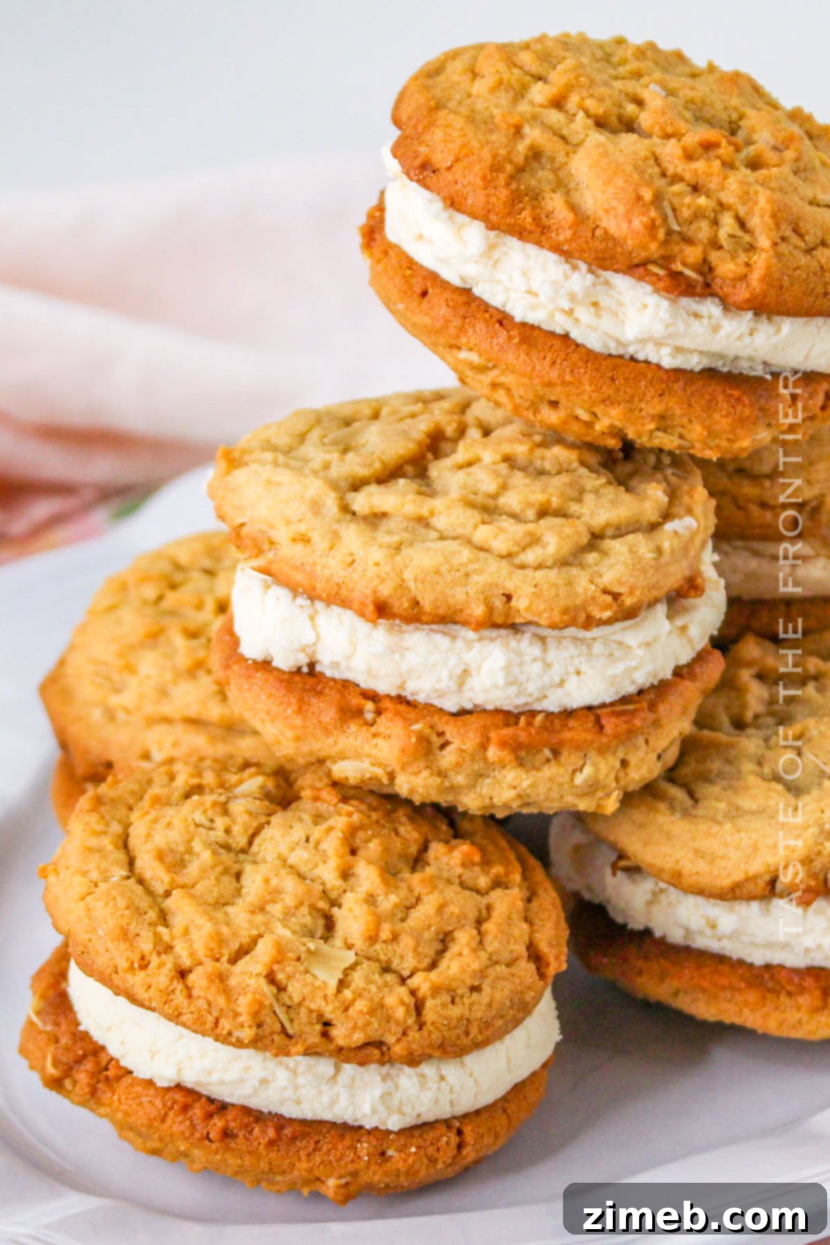 Recreating Classic Dosidos 16 Homemade Girl Scout- Copycat Recipe