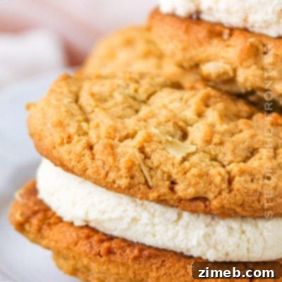 Homemade Do-Si-Dos - Copycat Recipe