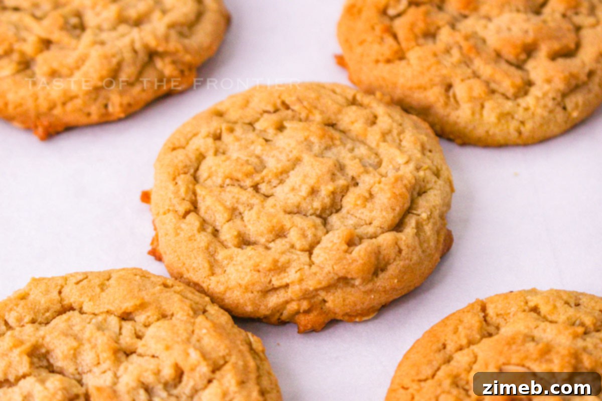 Recreating Classic Dosidos 8 baked Do-Si-Do cookies