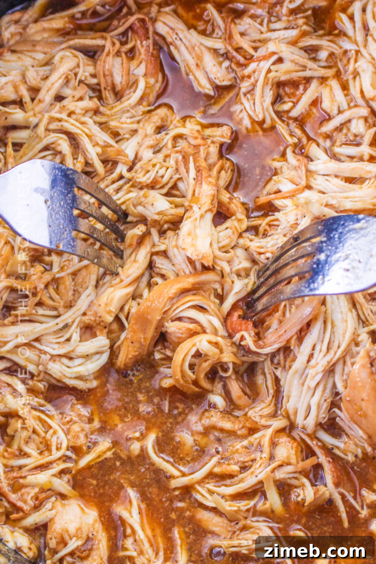shredded chicken