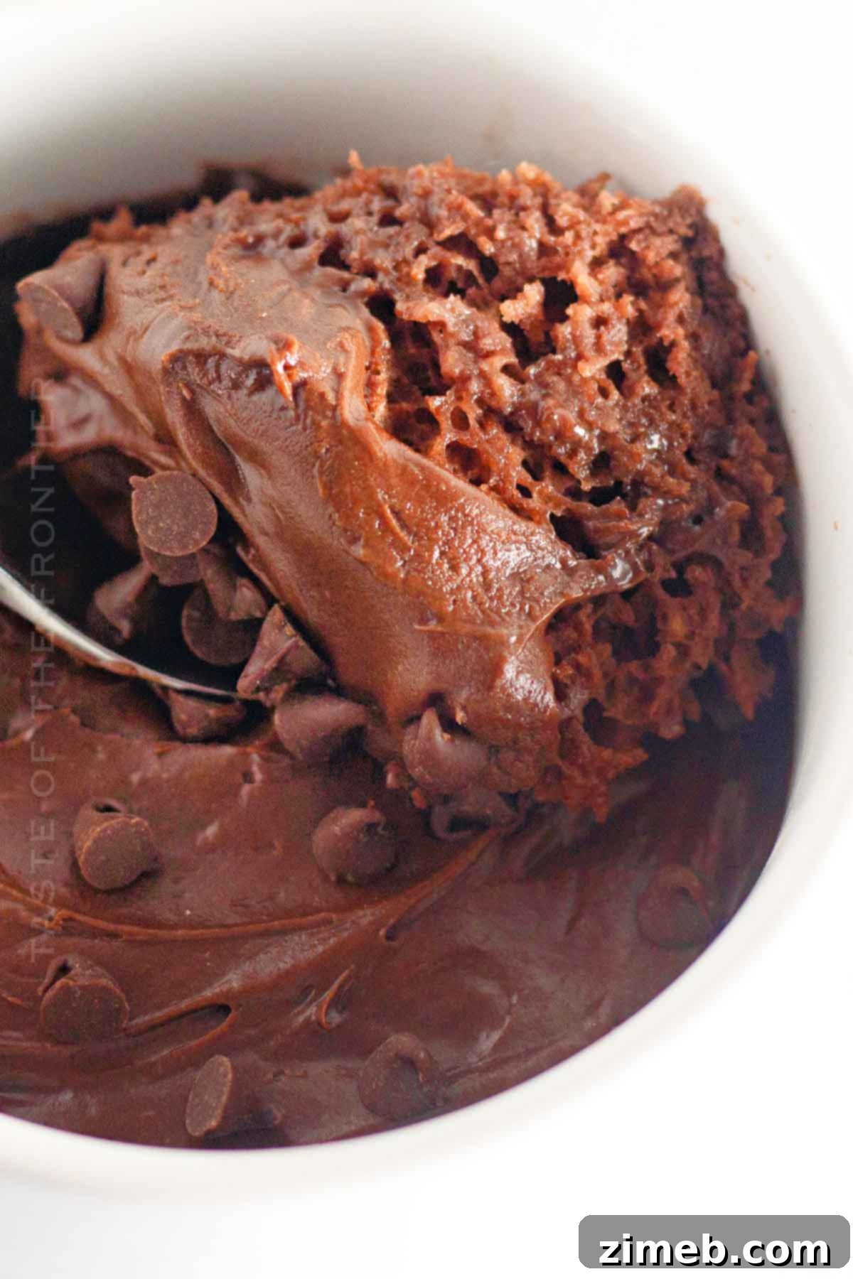 Easy Chocolate Mug Cake 2 Chocolate Mug Cake - a quick and easy dessert