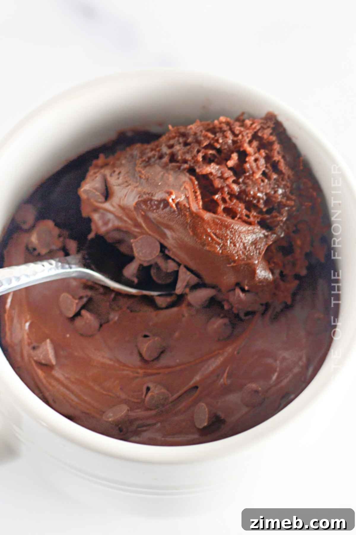 Easy Chocolate Mug Cake 14 Chocolate Mug Cake Recipe finished