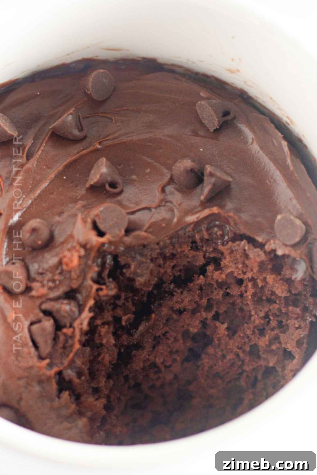 Easy Chocolate Mug Cake 15 Chocolate chip cake in a mug ready to eat