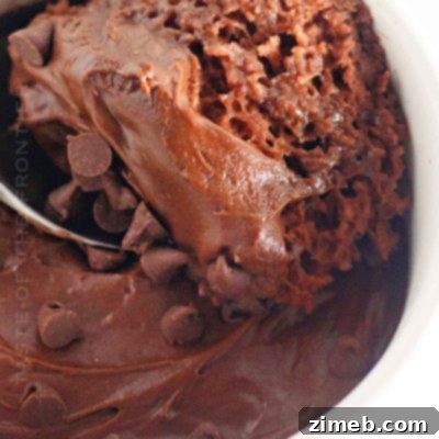 Chocolate Mug Cake