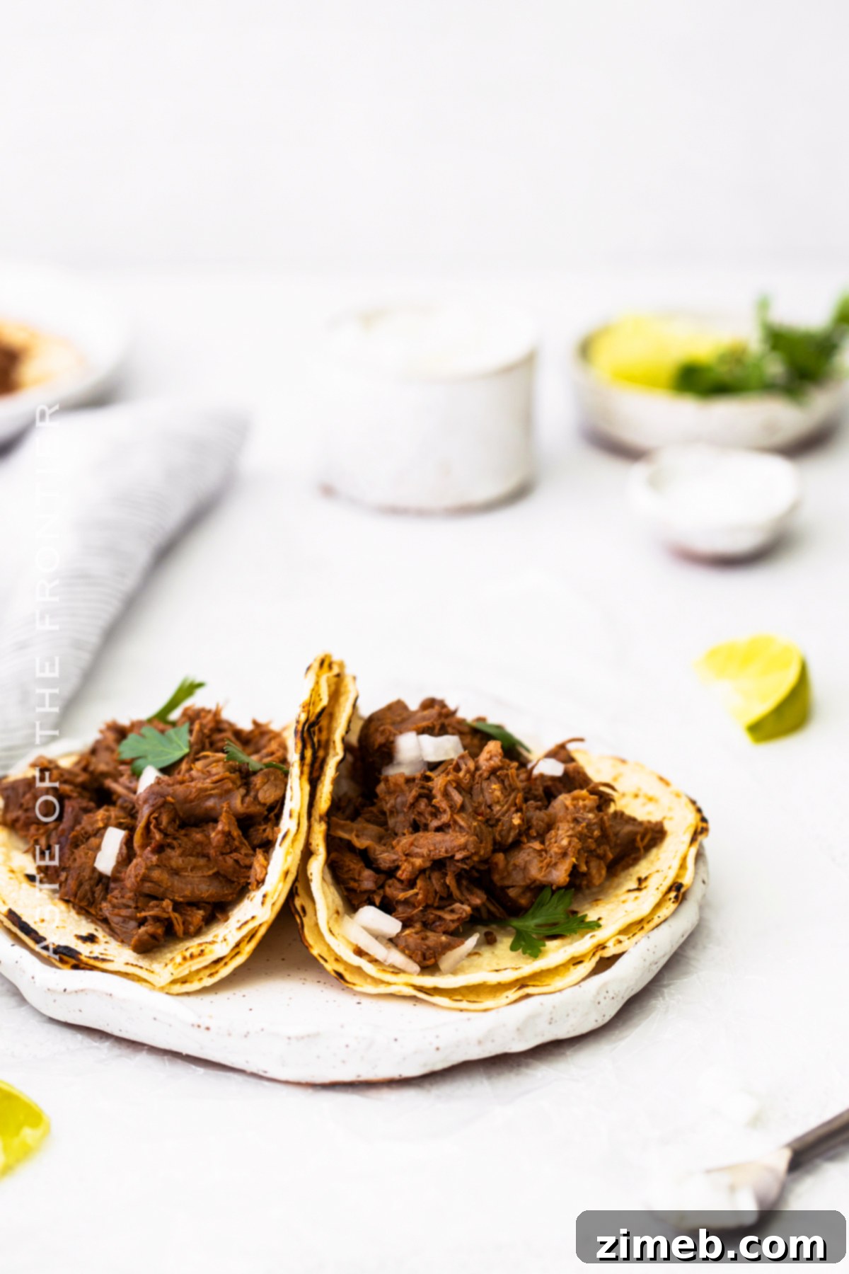 Tender and Flavorful Instant Pot Barbacoa Tacos 16 Instant Pot Barbacoa Tacos Recipe