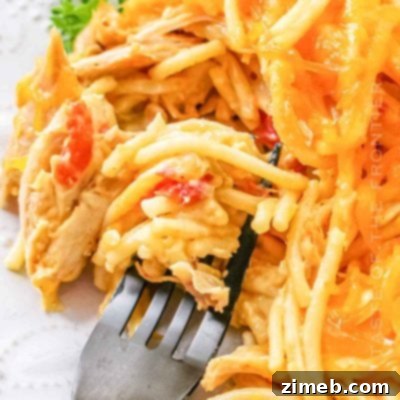 Rotel Chicken Spaghetti