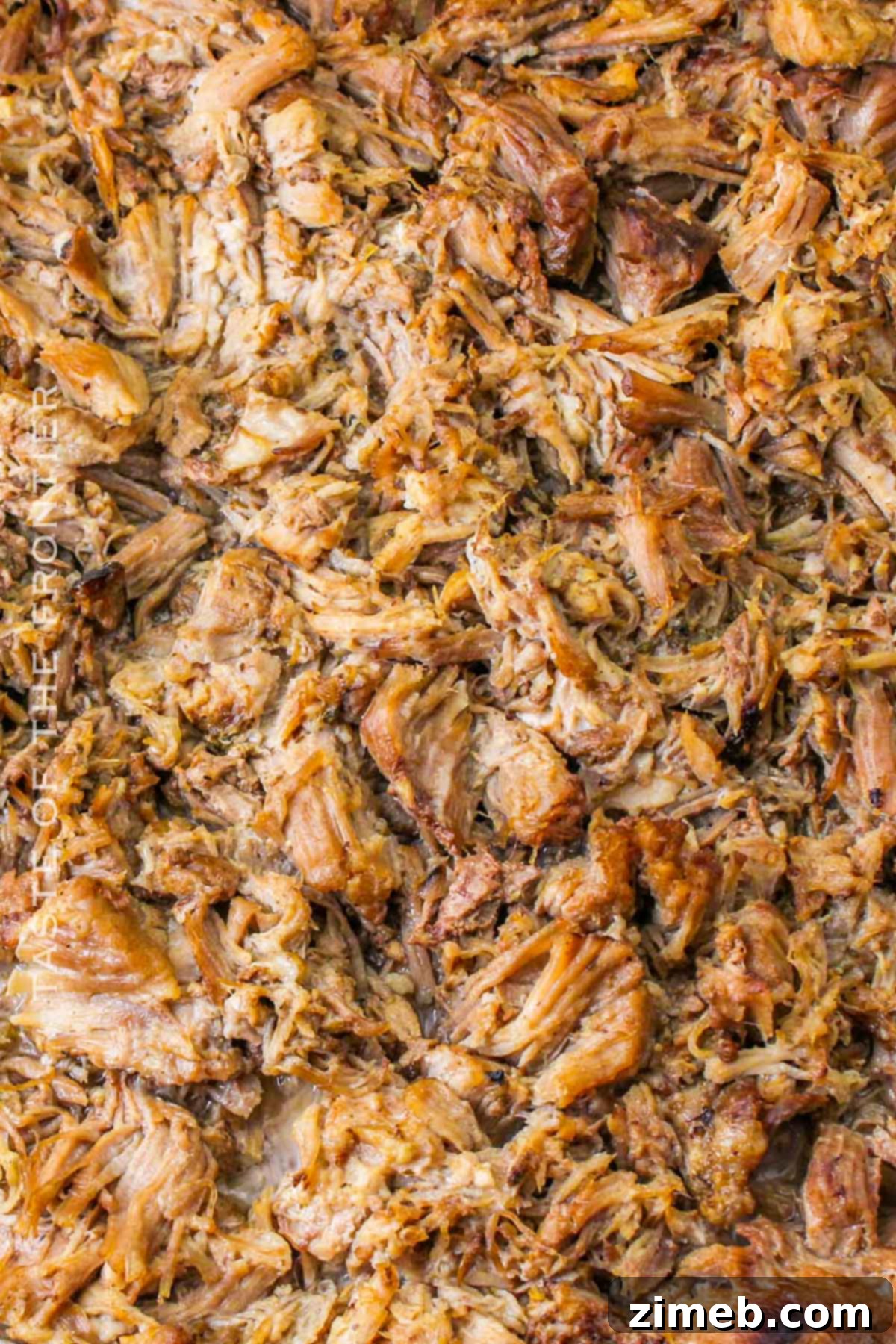 easy juicy Mexican pulled pork