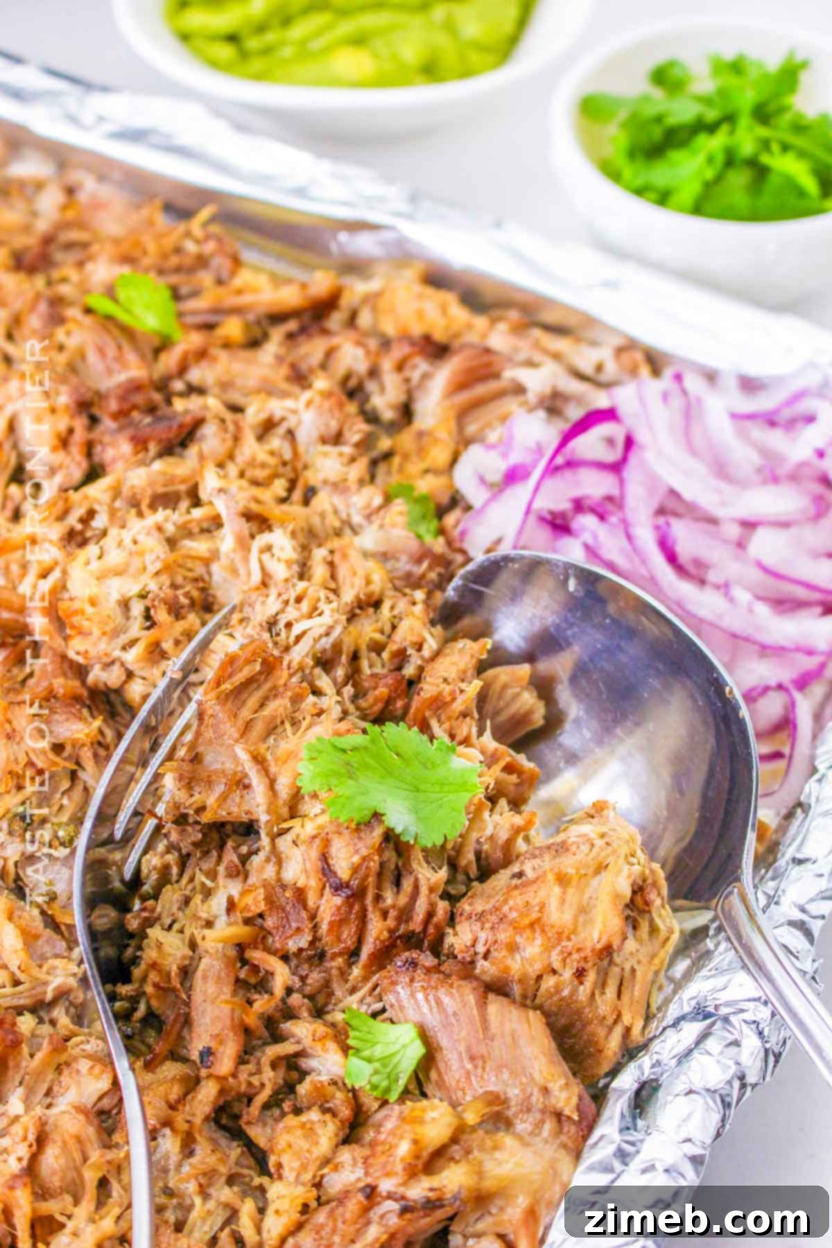Mexican carnitas recipe