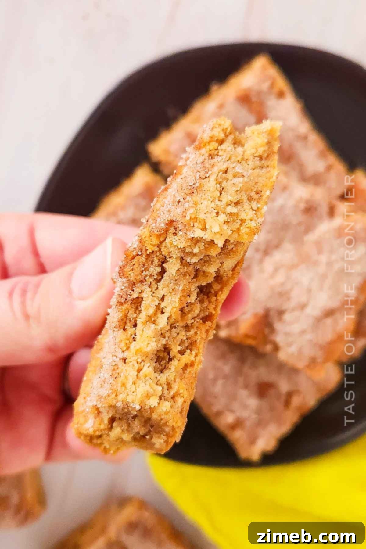 Churro Bars Recipe - A delicious cinnamon treat.