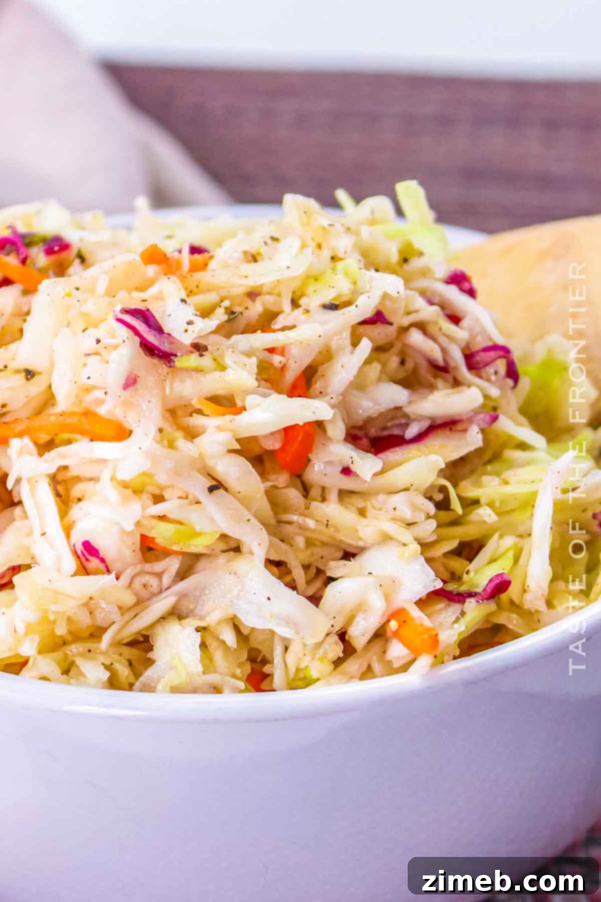 Zesty Red Wine Vinegar Coleslaw 14 A serving of Red Wine Vinegar Coleslaw in a white bowl, ready to eat.