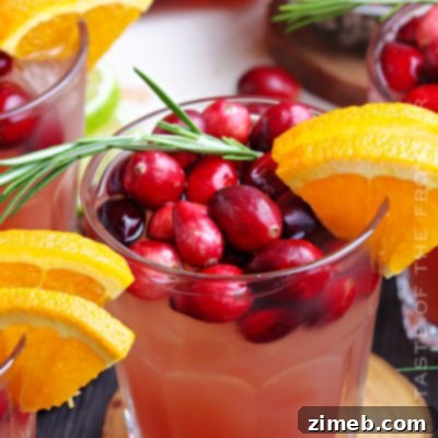 Holiday Punch Recipe