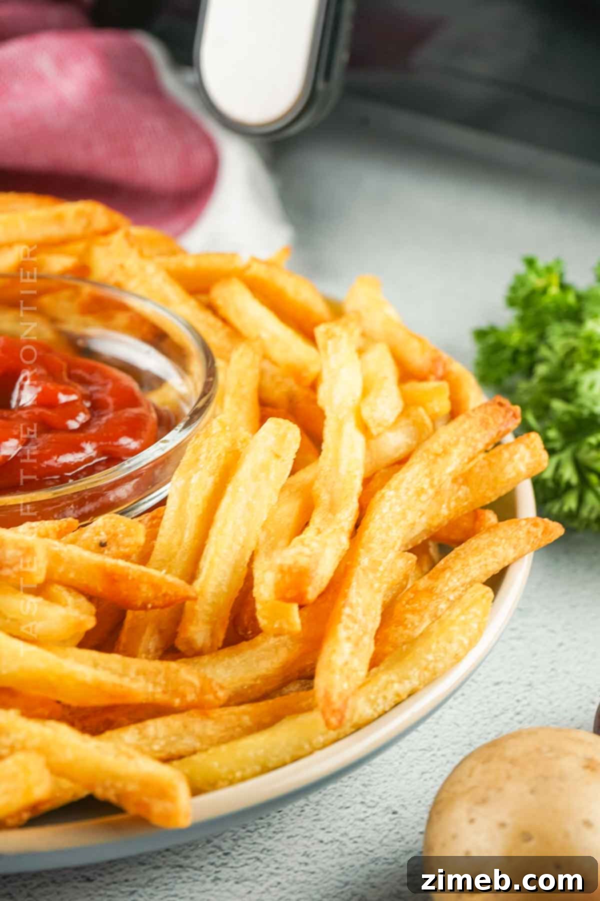 Perfectly Crispy Air Fryer Frozen Fries 9 cooking time for french fries in the air fryer