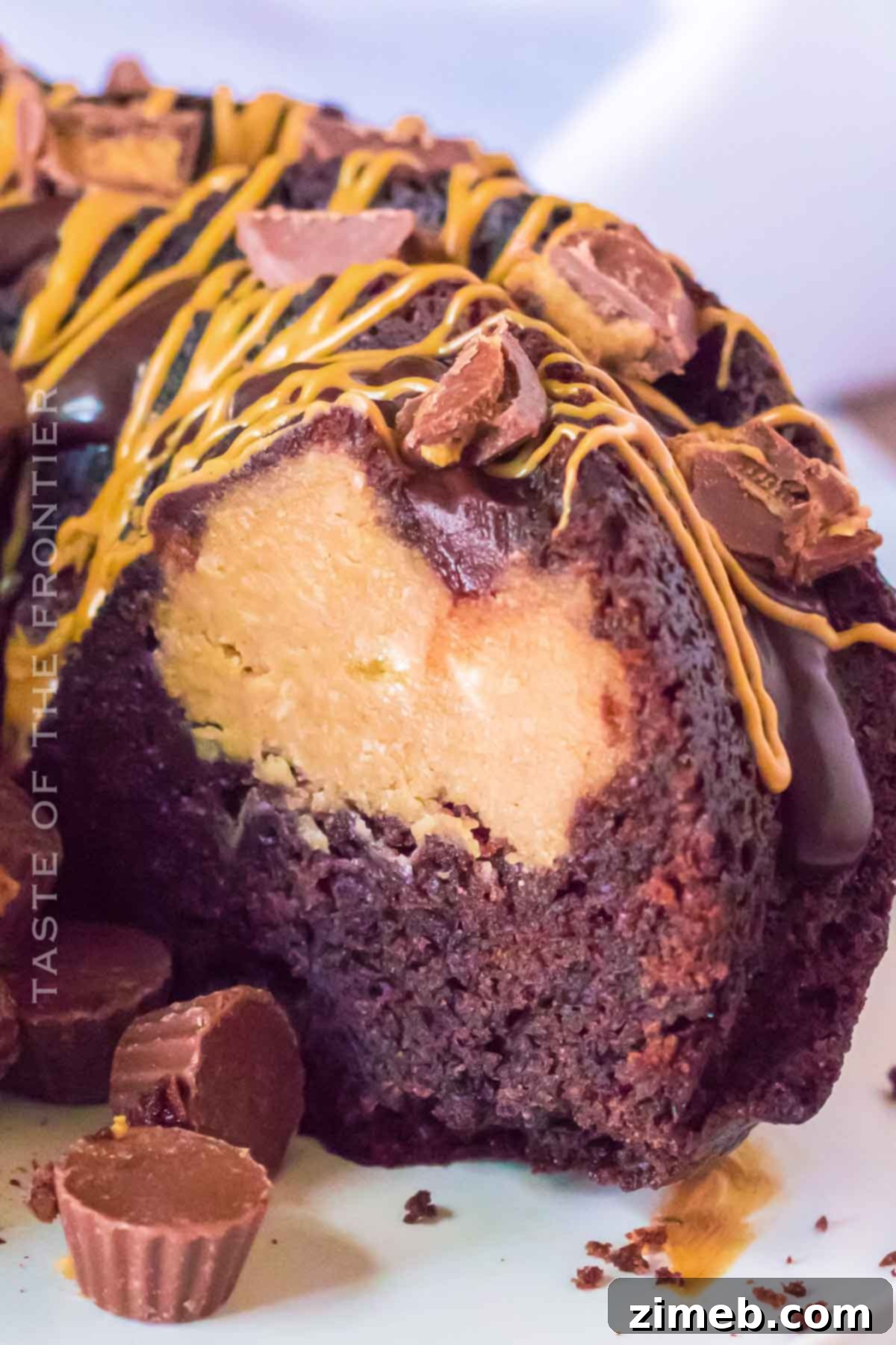 Decadent Chocolate Peanut Butter Brownie Cake with Cheesecake Filling