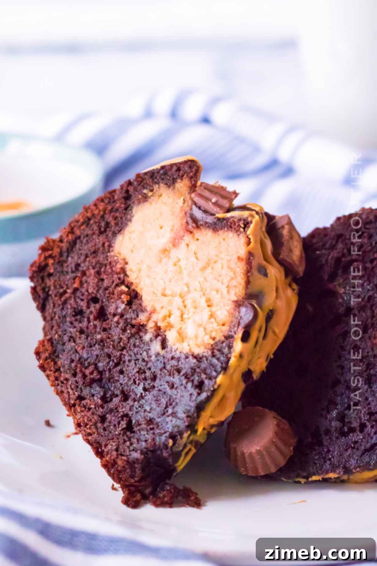 Chocolate cake with elegant chocolate ganache drizzle