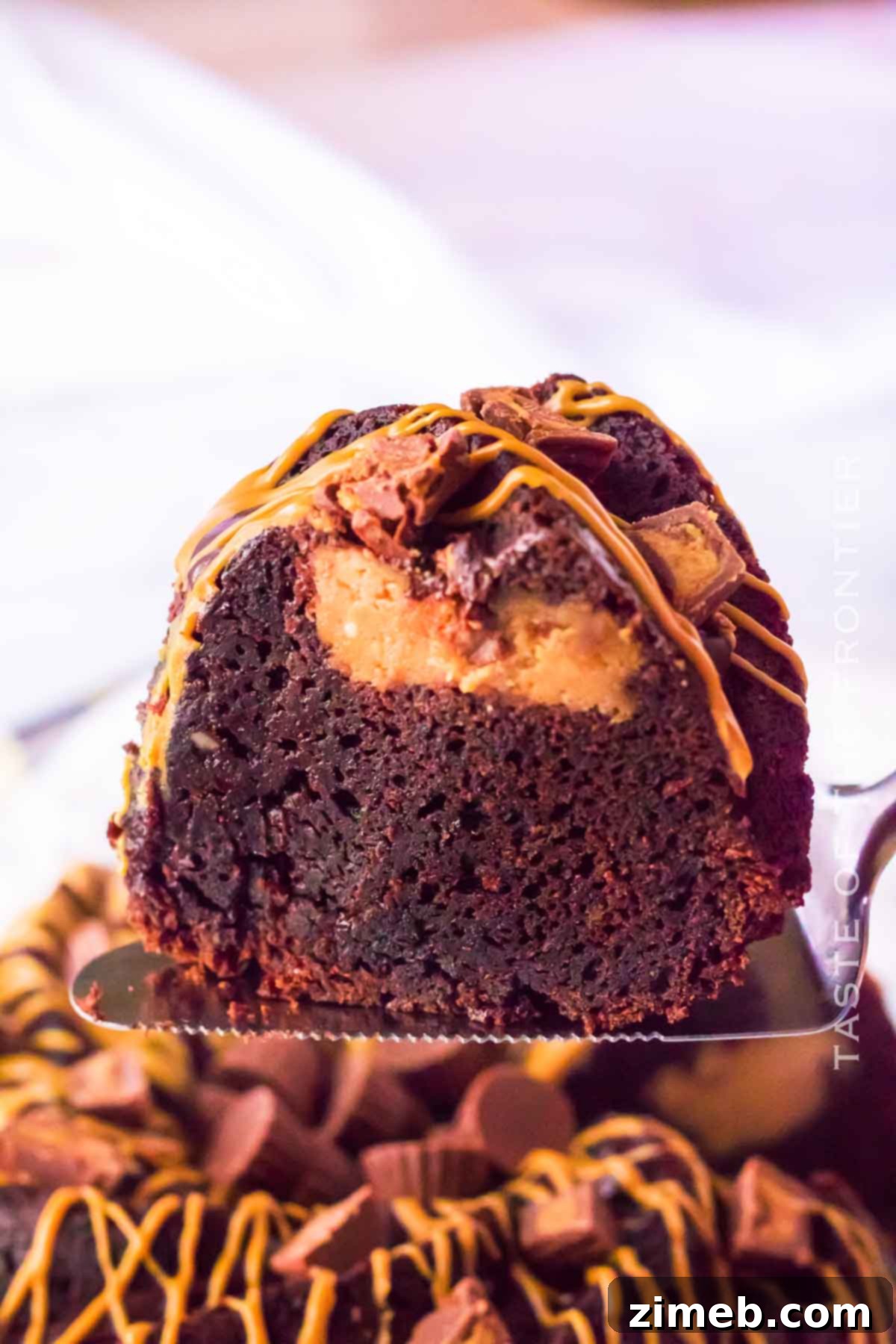 Glorious Brownie Cake with Peanut Butter Cheesecake Filling