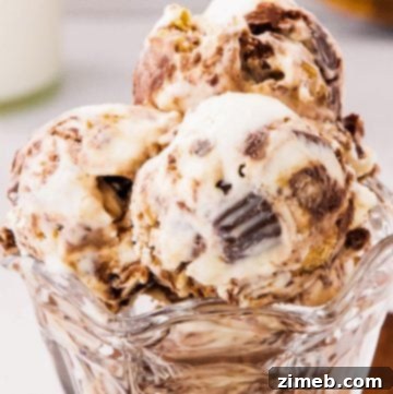 recipe for Moose Tracks Ice Cream