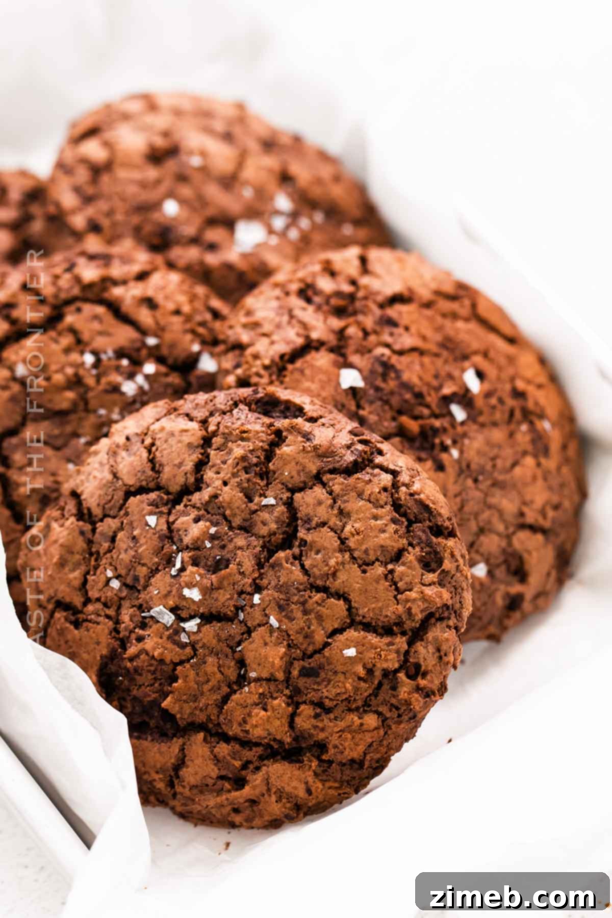Chewy Fudgy Brownie Cookies 7 Homemade Brownie Cookies, baked to perfection.