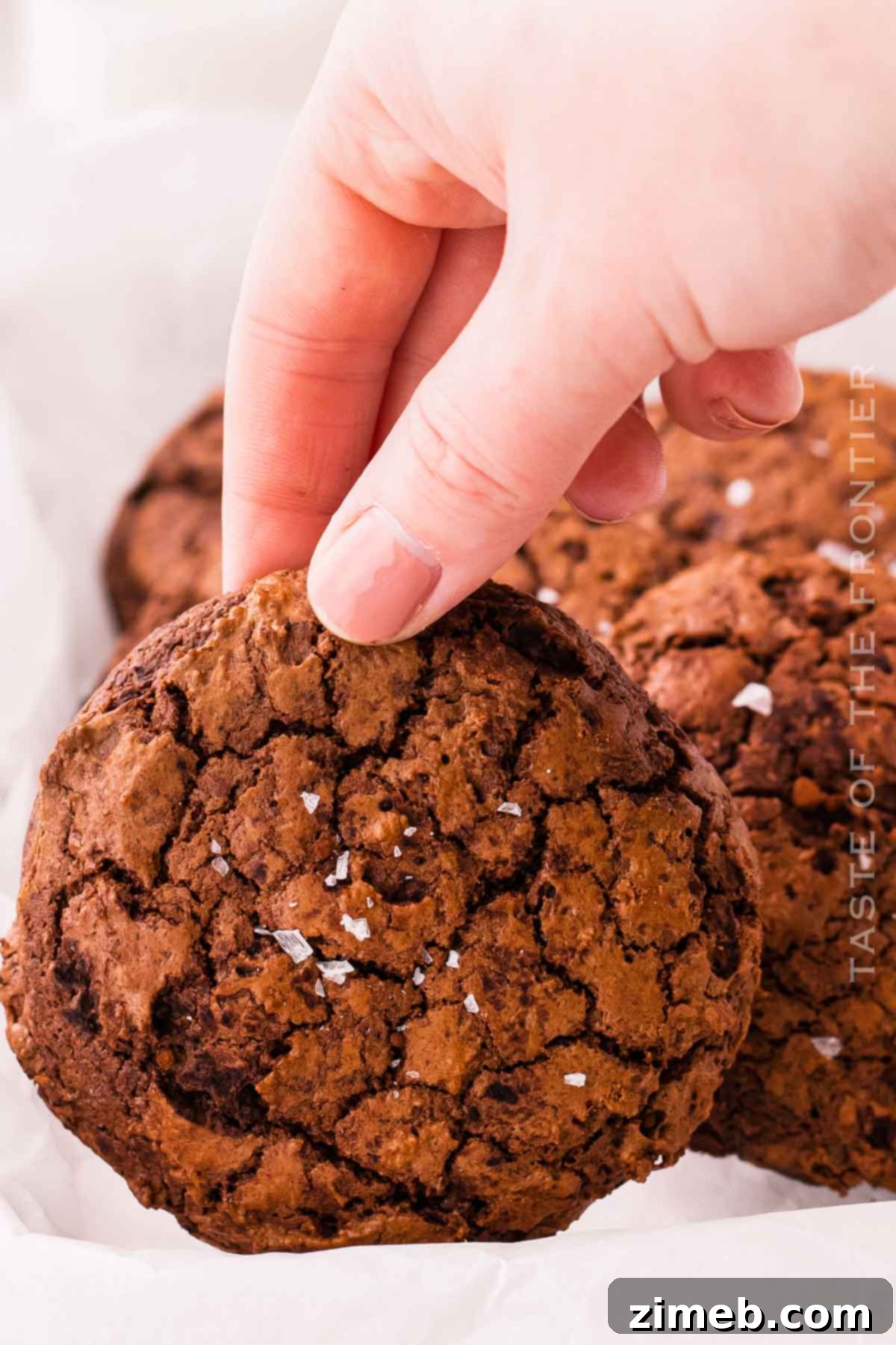 Chewy Fudgy Brownie Cookies 8 Brownie Cookies from scratch, a simple and rewarding baking project.