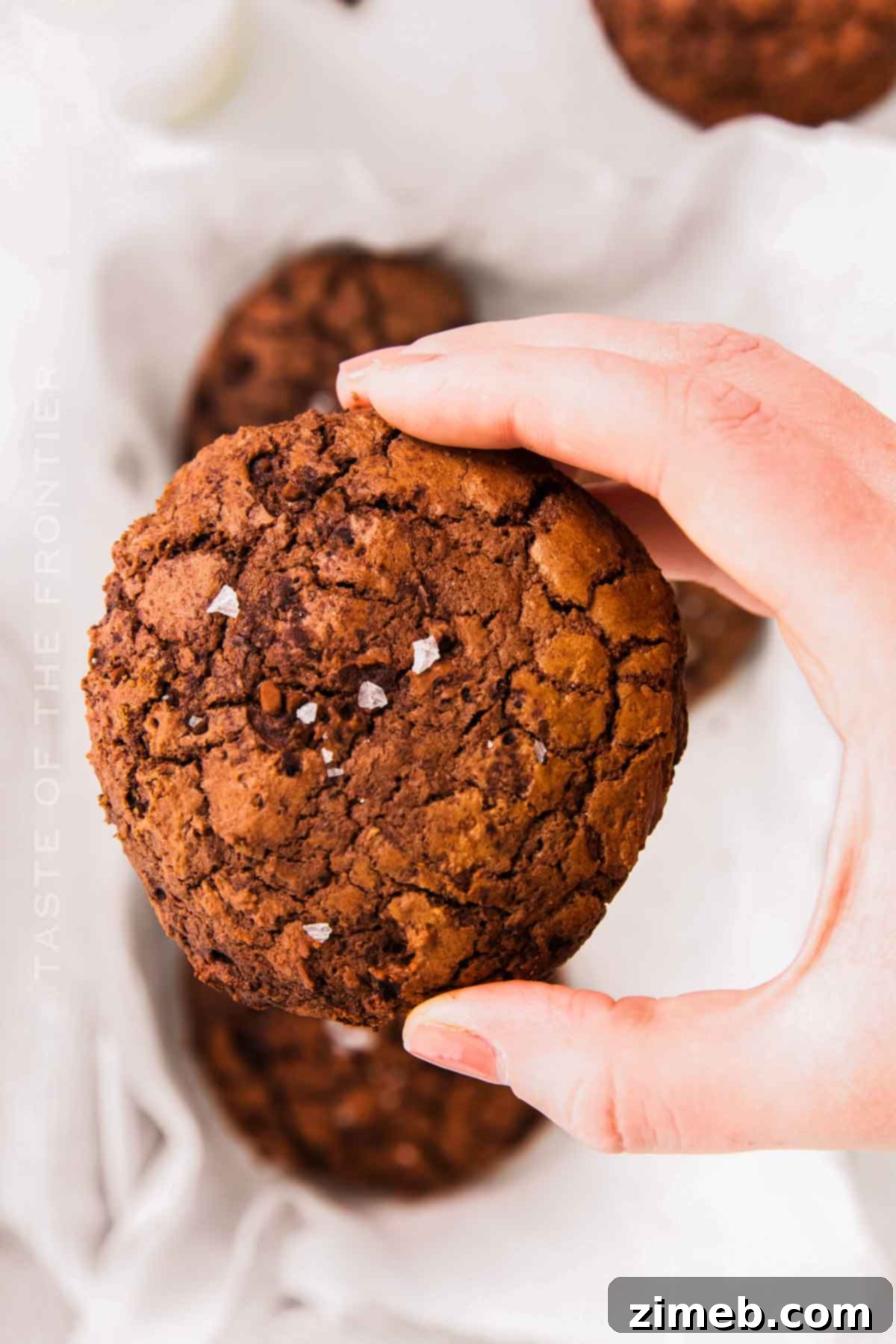 Chewy Fudgy Brownie Cookies 9 Best salty chocolate cookies – a perfect balance of sweet and savory.