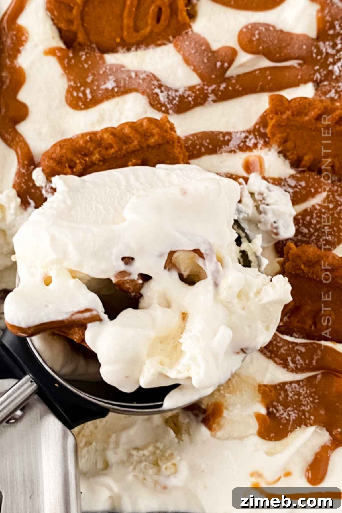frozen dessert with biscoff cookies