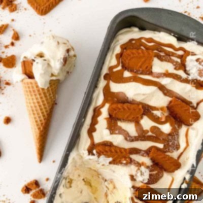 Biscoff Ice Cream