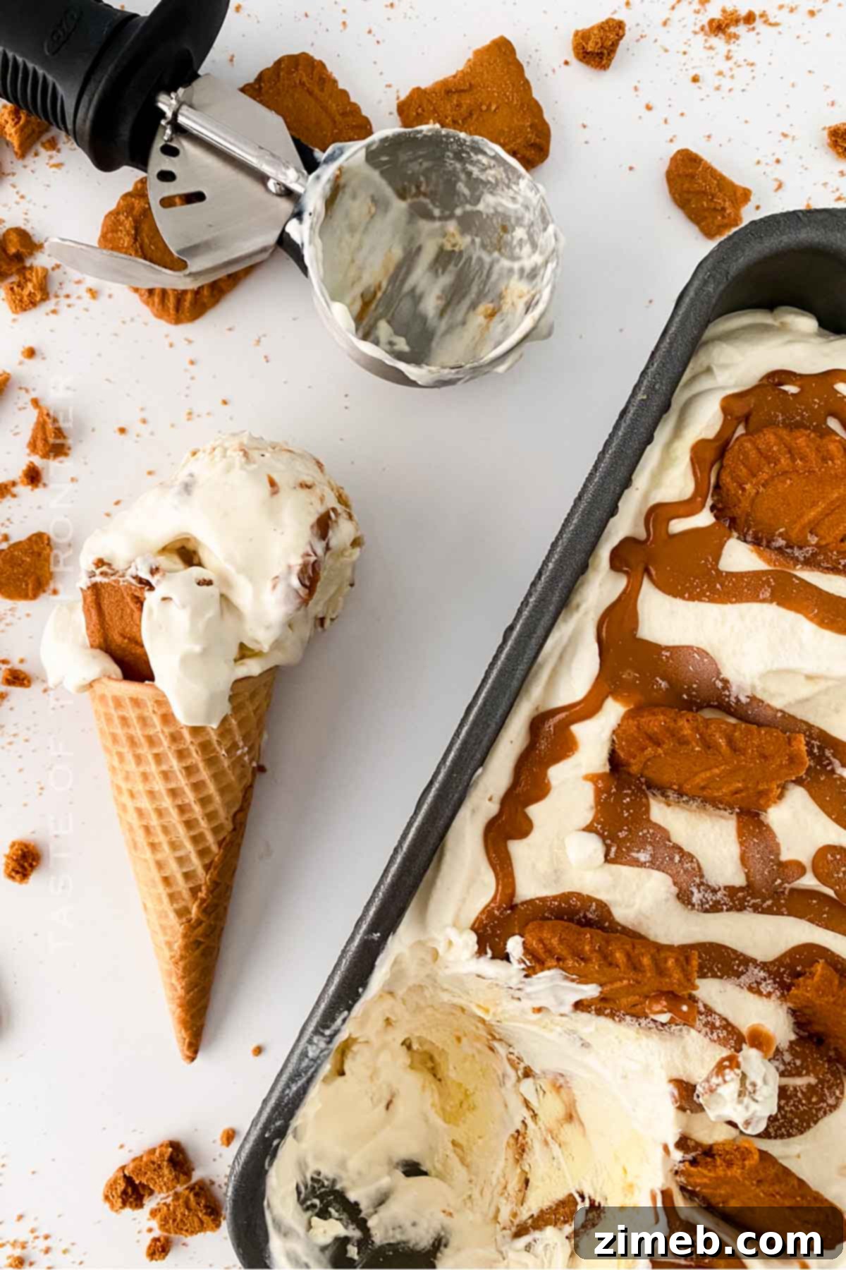 Biscoff Ice Cream Recipe