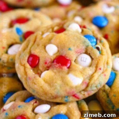 Patriotic Cookie Delights 12 4th of July Cookies