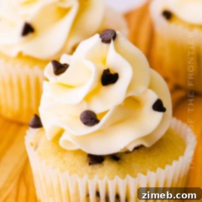 Delicious Homemade Chocolate Chip Cupcakes