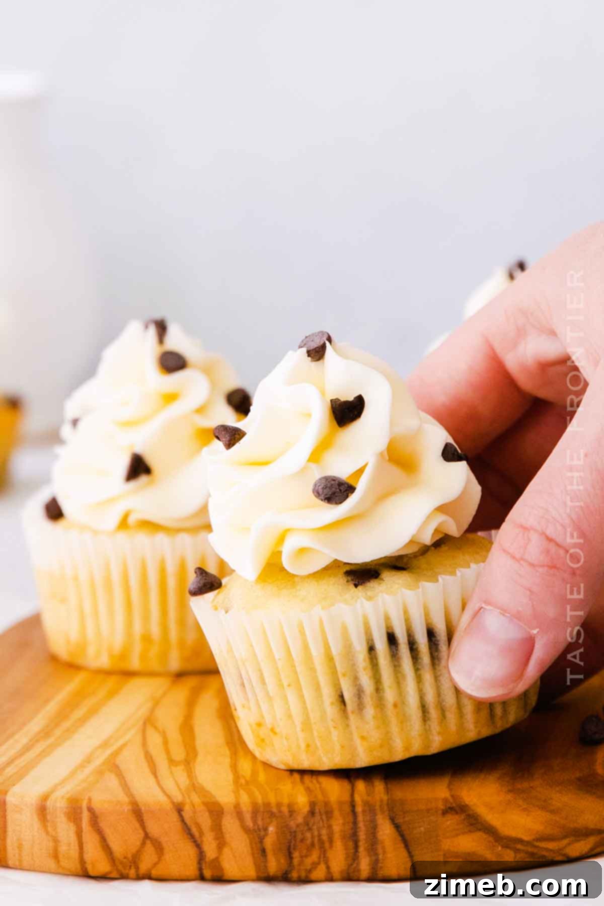 Homemade Chocolate Chip Cupcakes Ready for Frosting