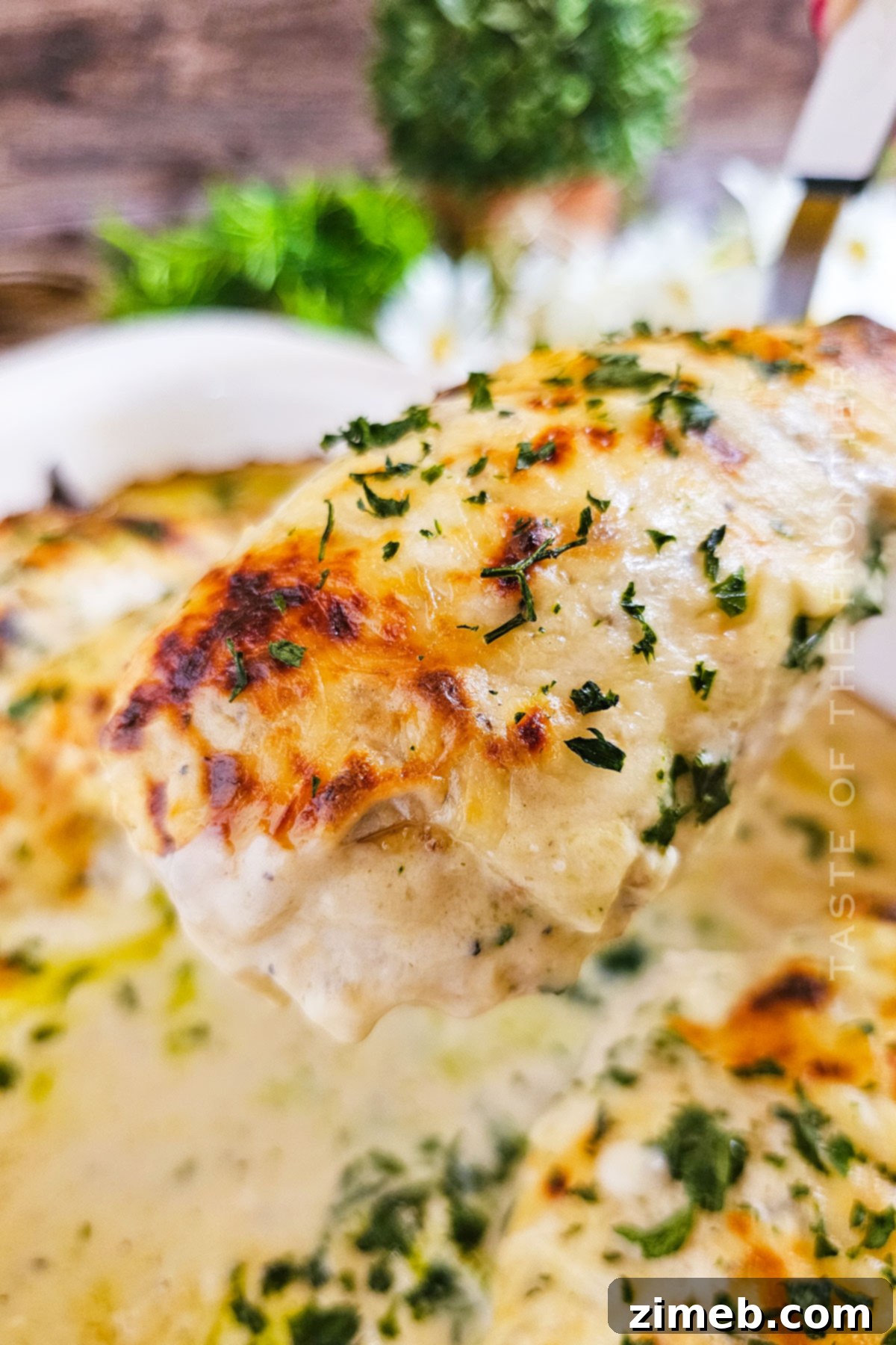 Creamy Mushroom Chicken 7 Close-up of cheesy mushroom chicken baking in a casserole dish.