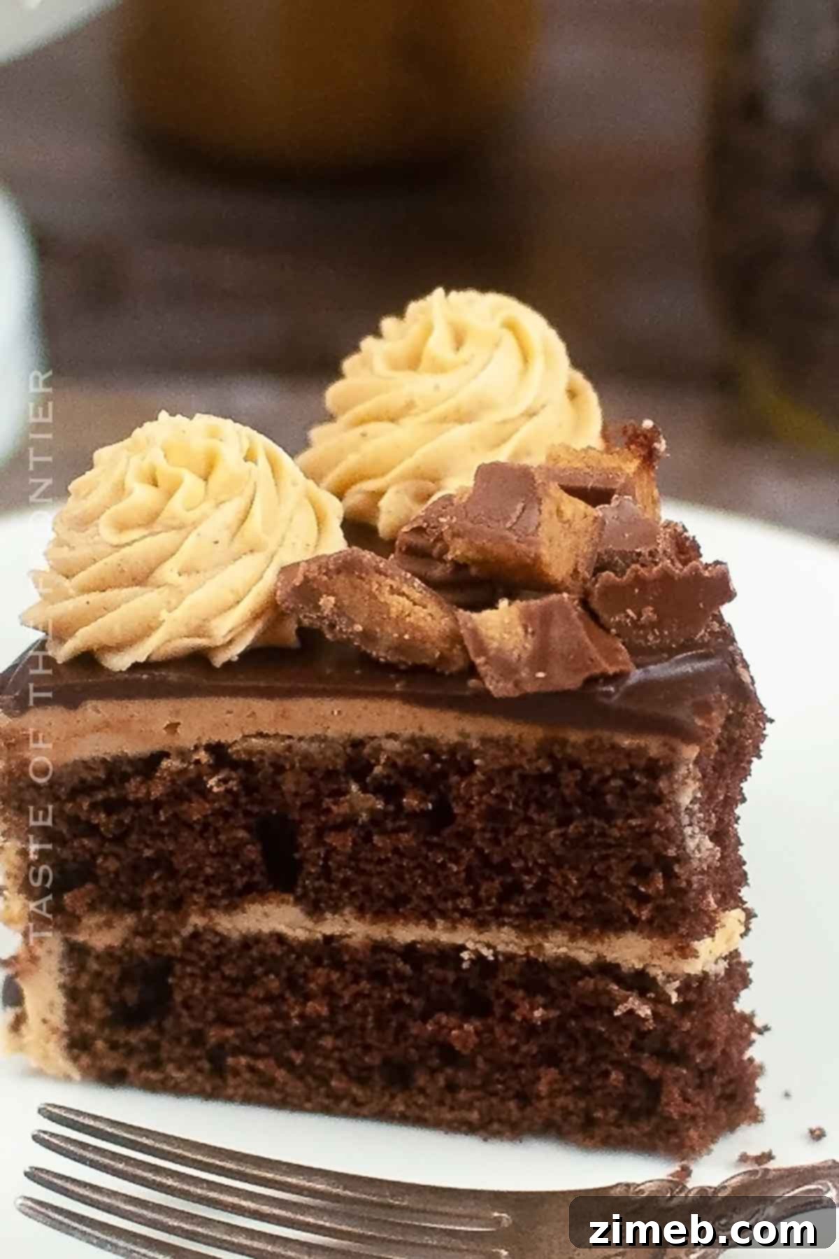 Rich Chocolate Peanut Butter Bliss 16 Slice of Chocolate Cake with Peanut Butter Frosting