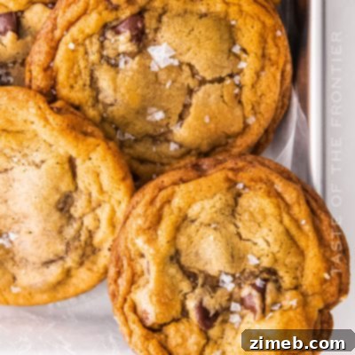 Pretzel Chocolate Chip Cookies
