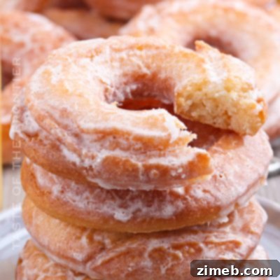Bronuts 11 Old Fashioned Sour Cream Donuts