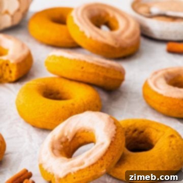 Bronuts 13 fall pumpkin donuts