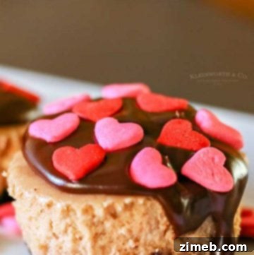 How to make easy Nutella Mini Cheesecakes