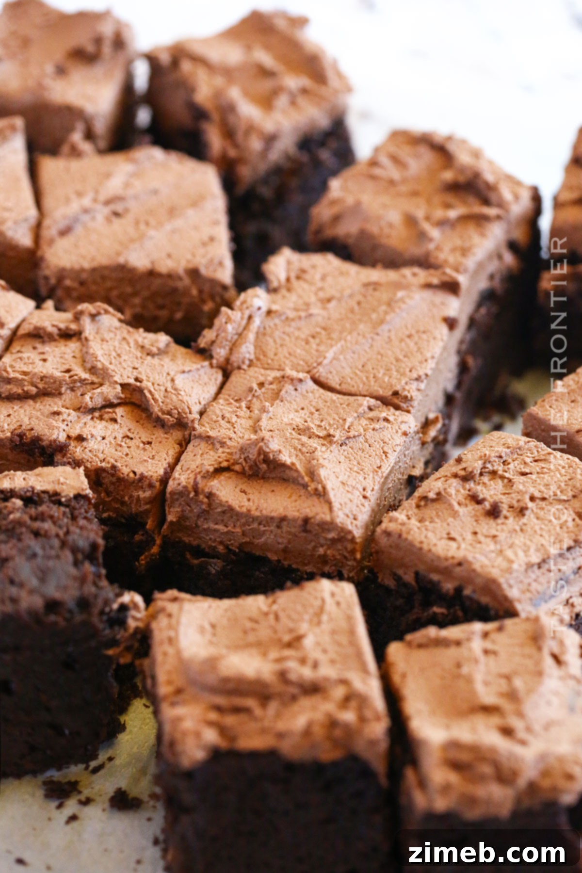 Ultimate Nutella Indulgence 9 Delicious single layer Nutella Cake ready to be served