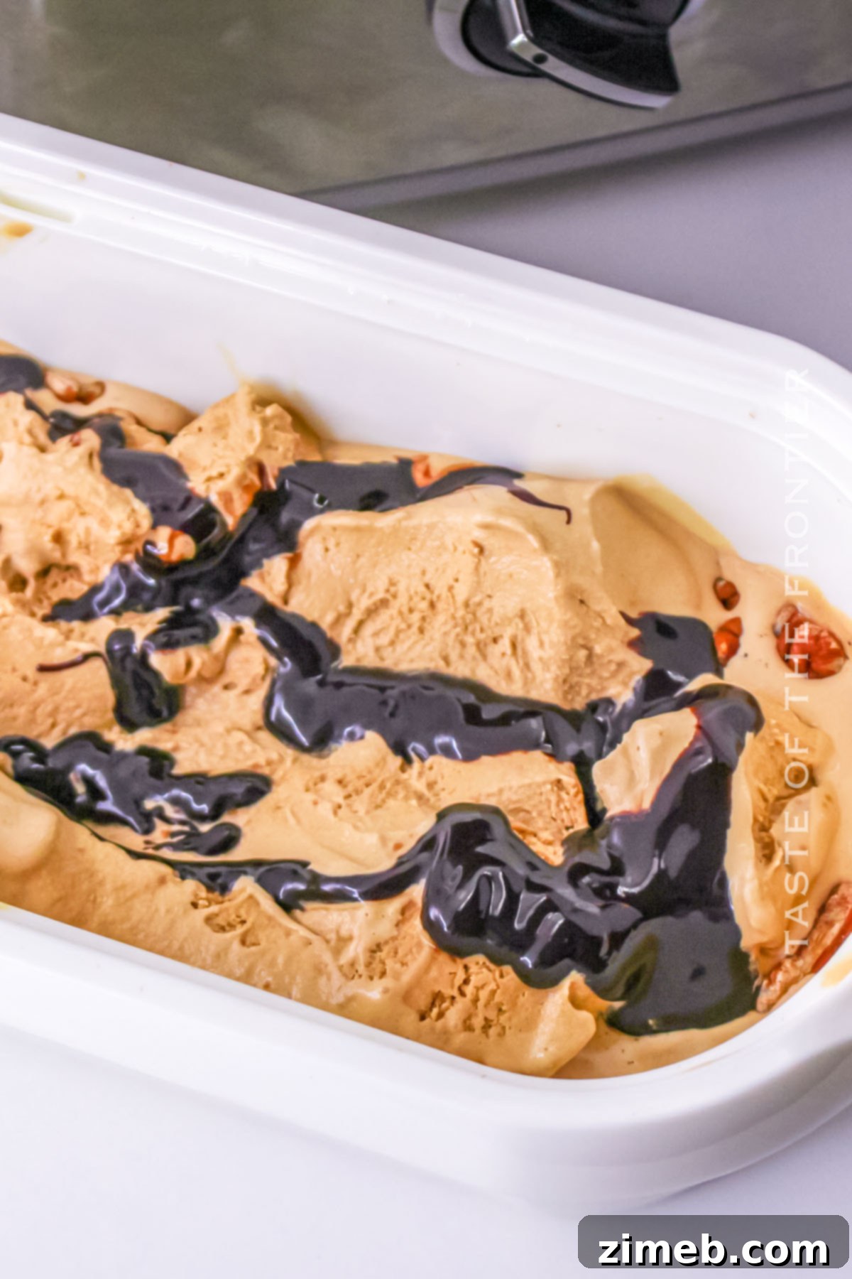 Decadent Mississippi Mud Ice Cream 7 ribbon of fudge sauce in Mississippi Mud Ice Cream