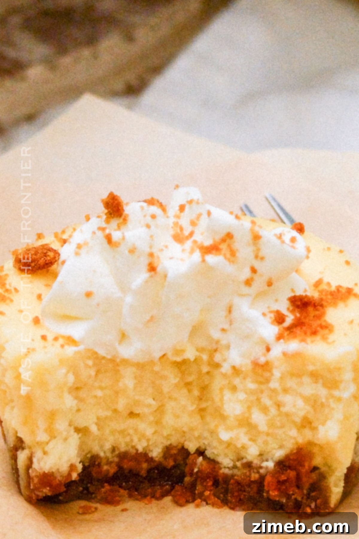 Biscoff Bliss Cheesecake 11 The Best Mini Biscoff Cheesecake for dessert lovers.