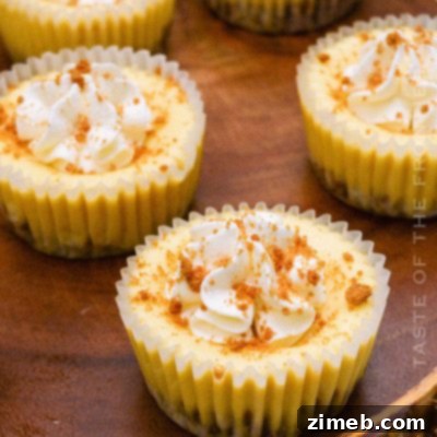 Biscoff Cheesecake Recipe with creamy filling and cookie crust