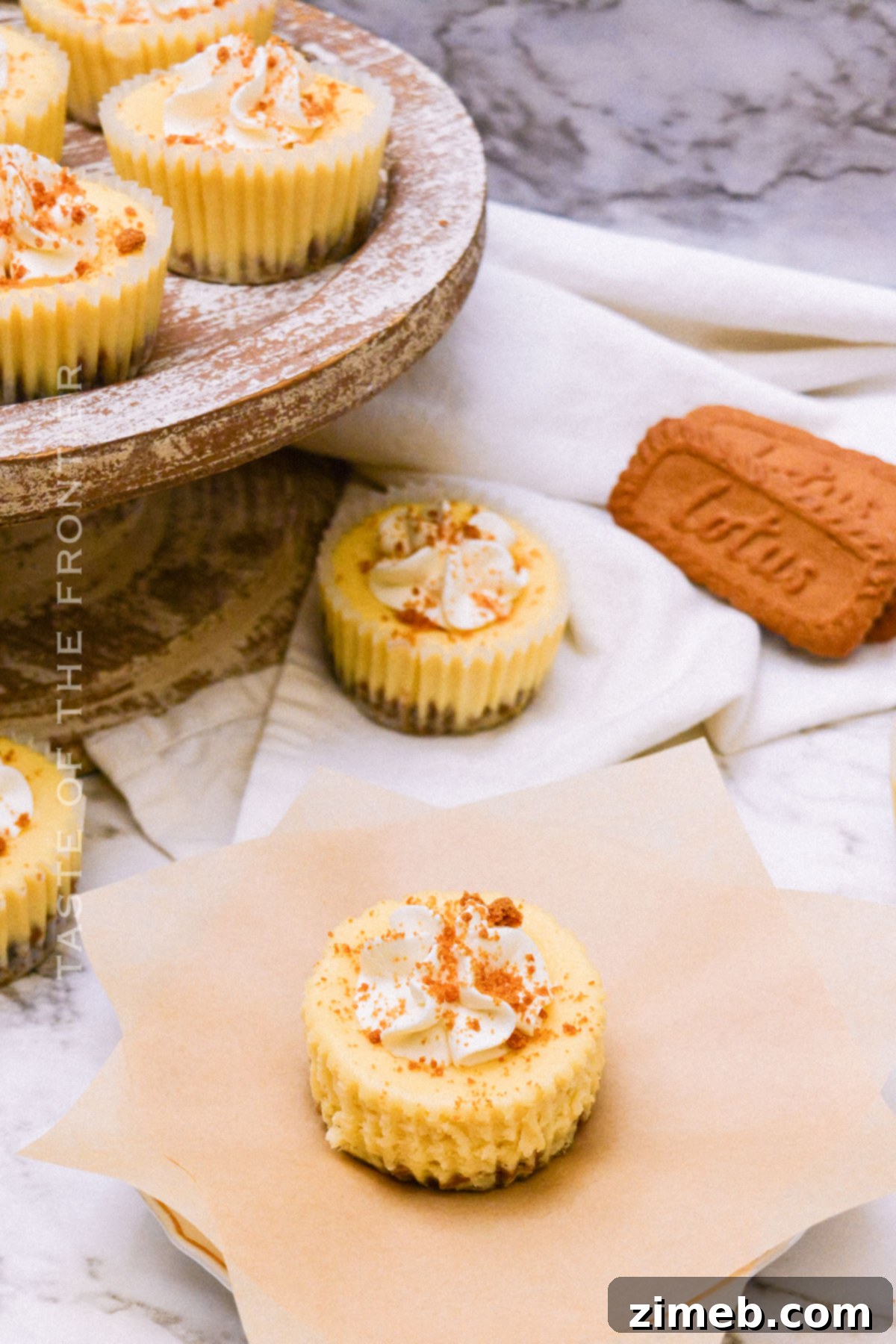 Biscoff Bliss Cheesecake 3 Close-up of a mini Biscoff Cookie Cheesecake.