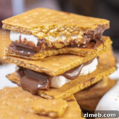 Easy Cake Mix Mug Treats 14 Delicious Air Fryer S'mores