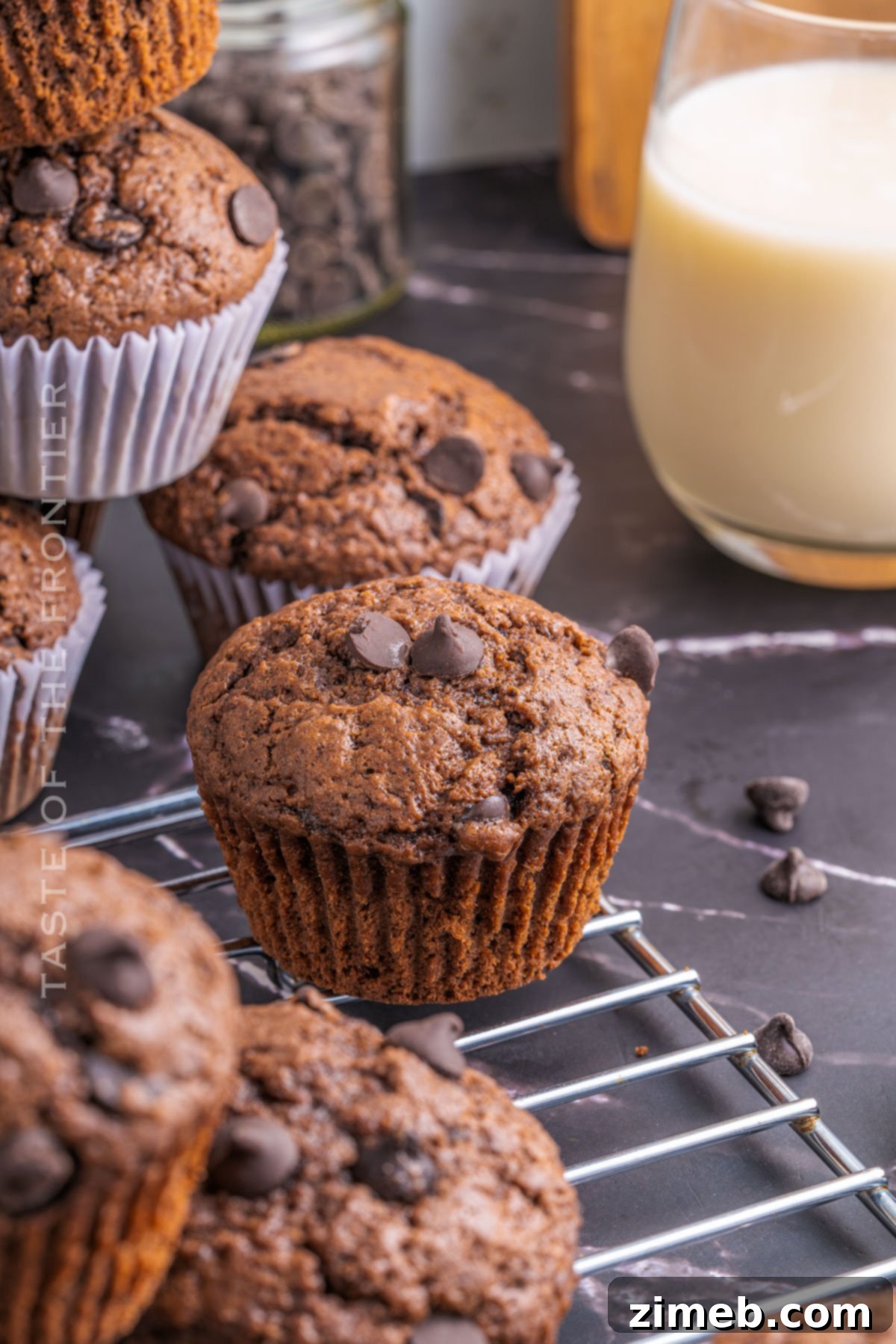 Delicious Double Chocolate Muffins, perfect for breakfast or a sweet treat.